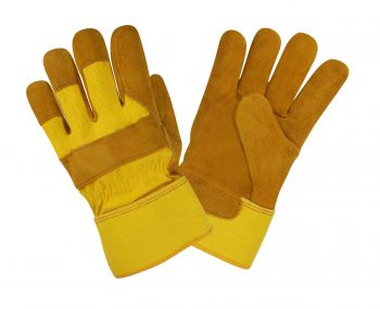 thumb_350_t8l8x_manusipiele.jpg