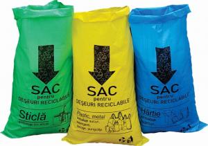new_fsedh_PAGINA-saci.jpg