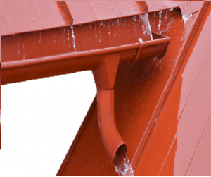 new_qzt1w_DSC_0375.png