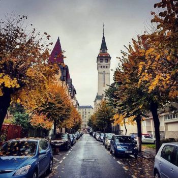 thumb_350_e3pbw_mures.jpg