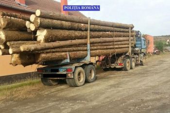 thumb_350_jd49j_camion-cu-lemn.jpg