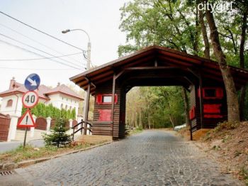 thumb_350_uuysf_platou.jpg