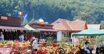 thumb_350_v0bkf_festivalul-vaii-muresului-800x420.jpg