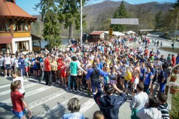 thumb_350_xx1tt_Crosul-primaverii-800x533.jpg