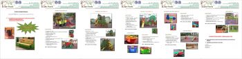 thumb_350_5csw4_4.jpg