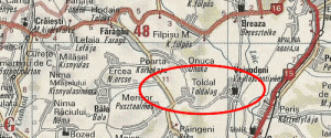 new_toldal.gif