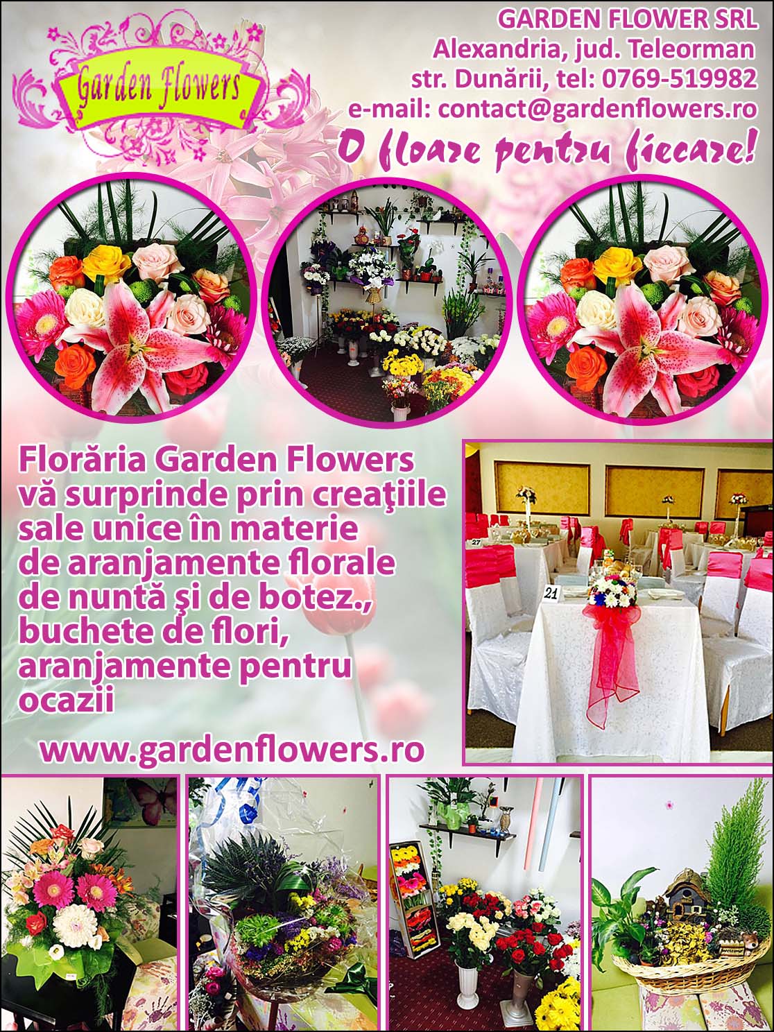 Catalog Afaceri