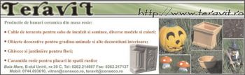 thumb_350_175377.jpg