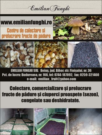 thumb_350_18249_8farc5.jpeg