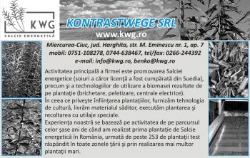 thumb_350_464898_ih9sl.jpg