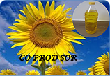 thumb_350_501386_963sk7.png