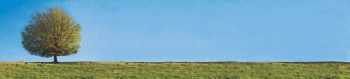 thumb_350_56042_ebe3xm.gif