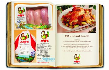thumb_350_75811_1oywa.jpg