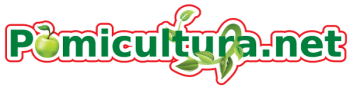 thumb_350_968721_2cznw8.png