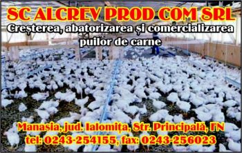 thumb_350_ALCREV_PRO.99235.7.4012.1_8.1.jpg