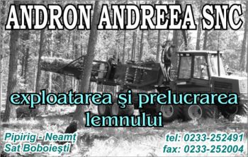 thumb_350_ANDRON_AND.100942.7.4578.1_8_AR.1.jpg