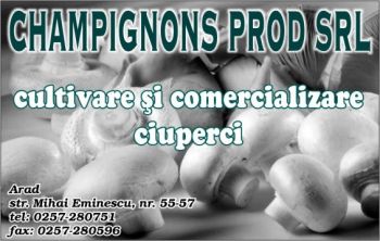 thumb_350_CHAMPIGNON.201745.7.3997.1_8_AR.1.jpg