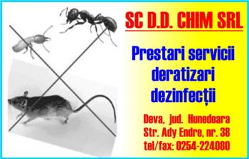 thumb_350_D.D._CHIM_.96338.7.2703.1_8.1.jpg