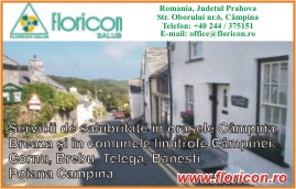 thumb_350_FLORICON_S.178467.3.1728.1_8.1.jpg