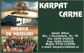 thumb_350_KARPAT_CAR.19350.3.487.1_8.1.jpg