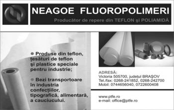 thumb_350_NEAGOE_FLU.34485.7.4026.1_8_AR.1.jpg