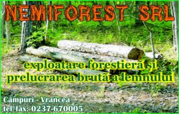thumb_350_NEMIFOREST.125818.7.4378.1_8.1.jpg
