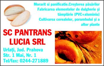 thumb_350_PANTRANS_L.180115.7.2936.1_8.1.jpg
