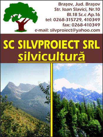 thumb_350_SILVPROIEC.36079.7.2080.1_4_vertical.1.jpg