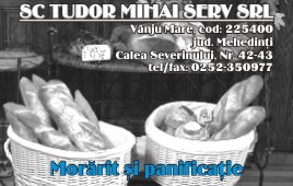 thumb_350_TUDOR_MIHA.69347.3.1405.1_8_AR.1.jpg
